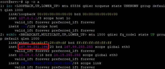 Show network interfaces